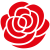 Rose SPD Kampagne SPD Rose Kampagne